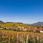 Herbstpanorama