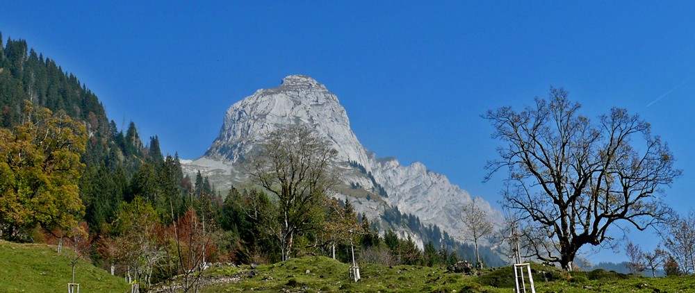 Herbstpanorama