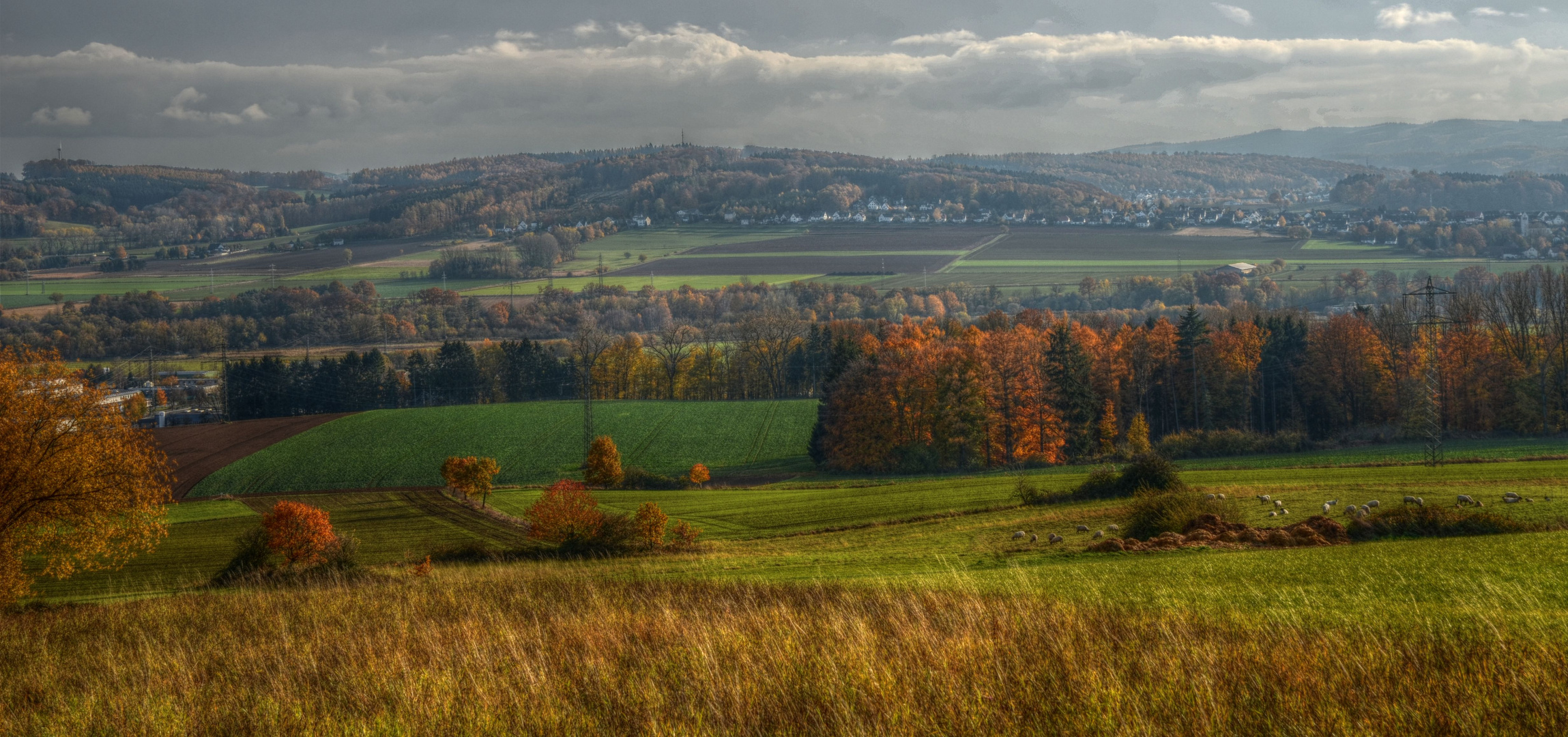 Herbstpanorama