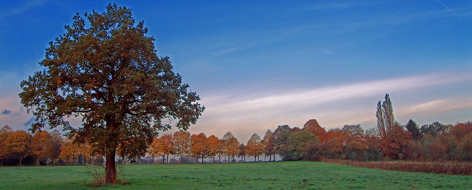 Herbstpanorama