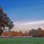 Herbstpanorama