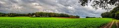 Herbstpanorama