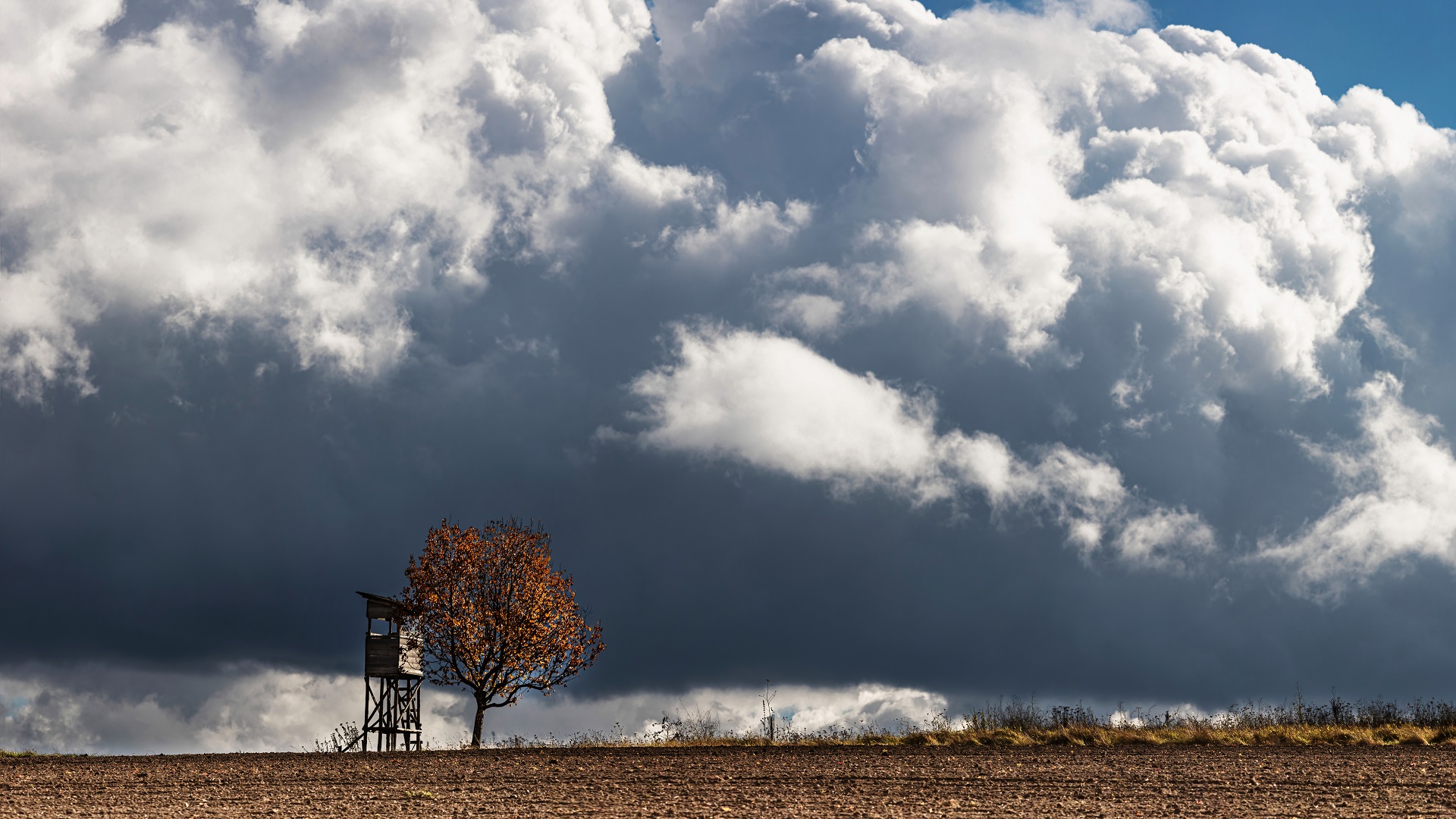 Herbstpanorama