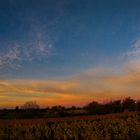 Herbstpanorama