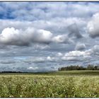 Herbstpanorama