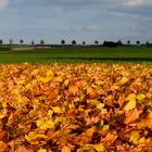 Herbstpanorama