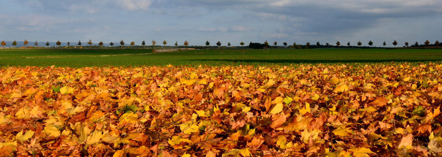 Herbstpanorama