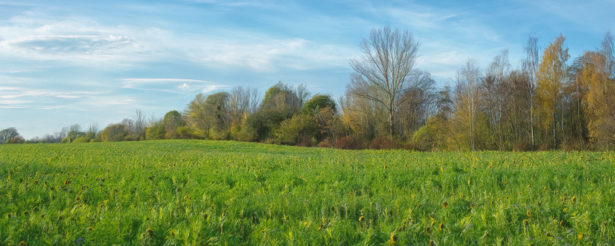 Herbstpanorama