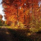 Herbstpanorama