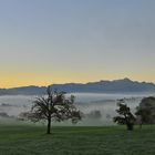 Herbstpanorama