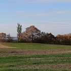 Herbstpanorama