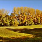 Herbstpanorama