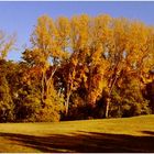 Herbstpanorama