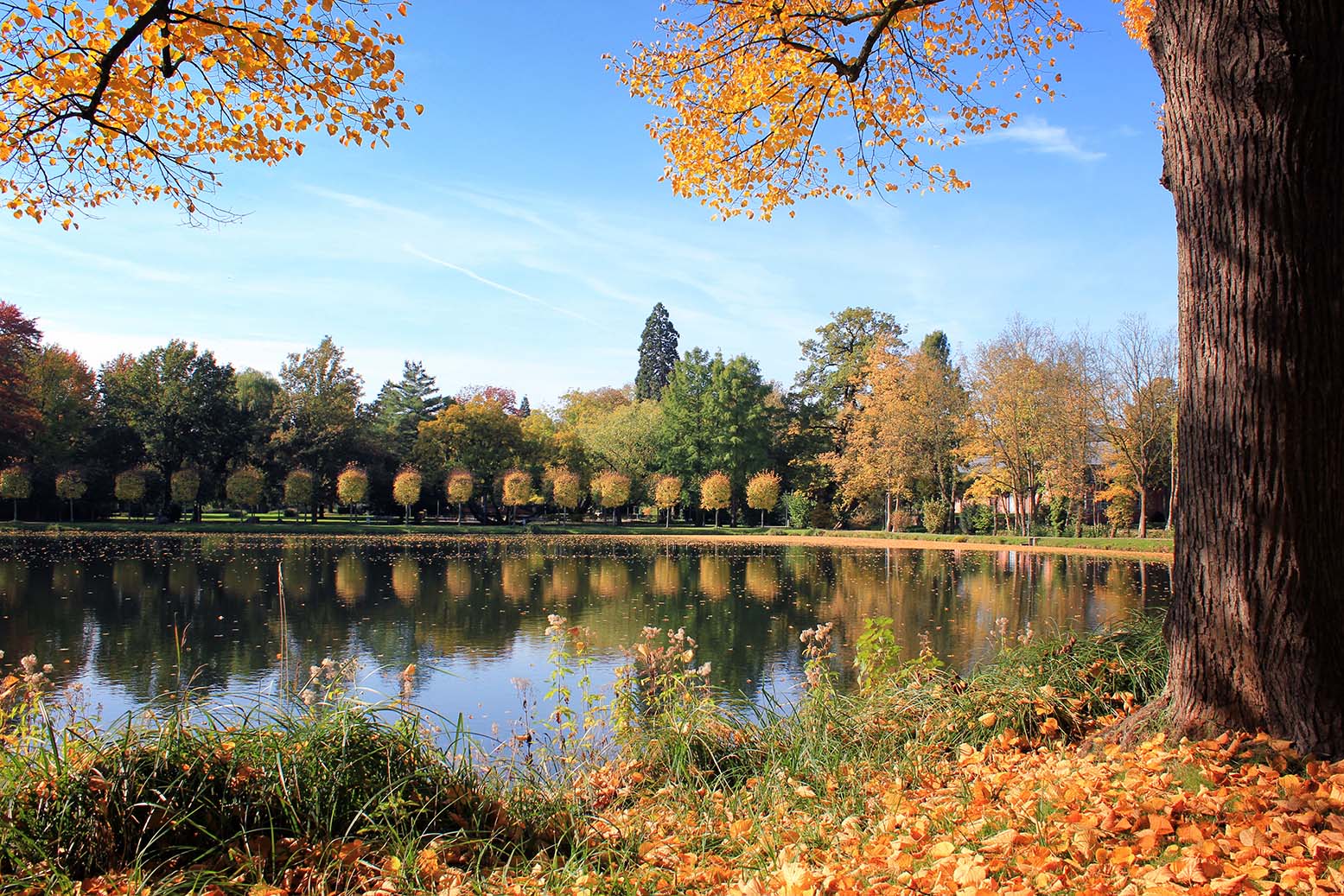 Herbstpanorama