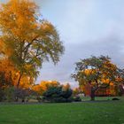 Herbstpanorama Rheinpark Köln-Deutz