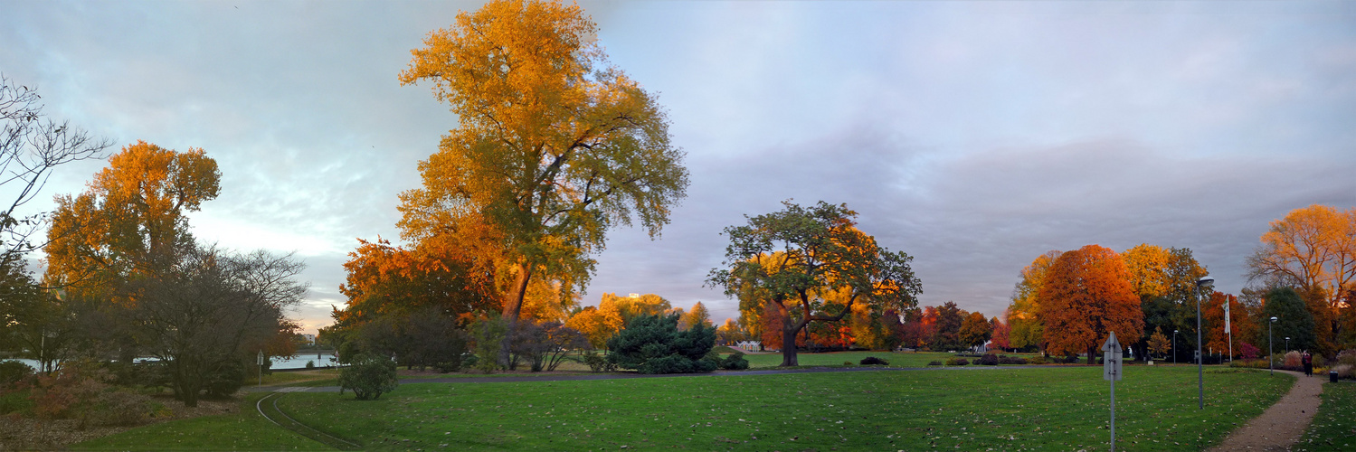 Herbstpanorama Rheinpark Köln-Deutz