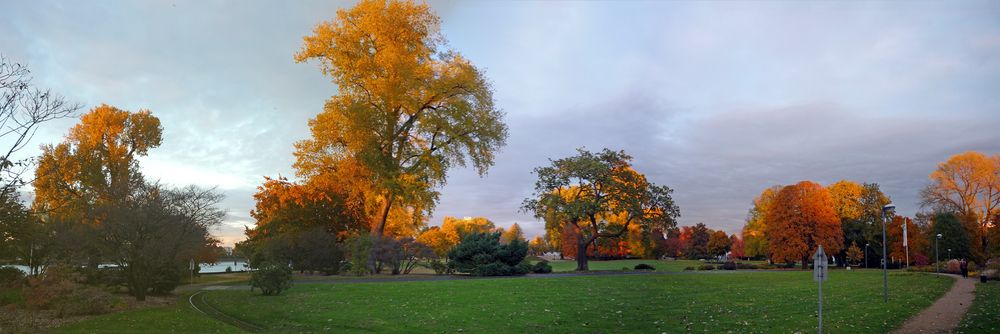 Herbstpanorama Rheinpark Köln-Deutz