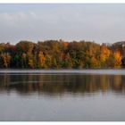 Herbstpanorama Sechs-Seen-Platte Duisburg