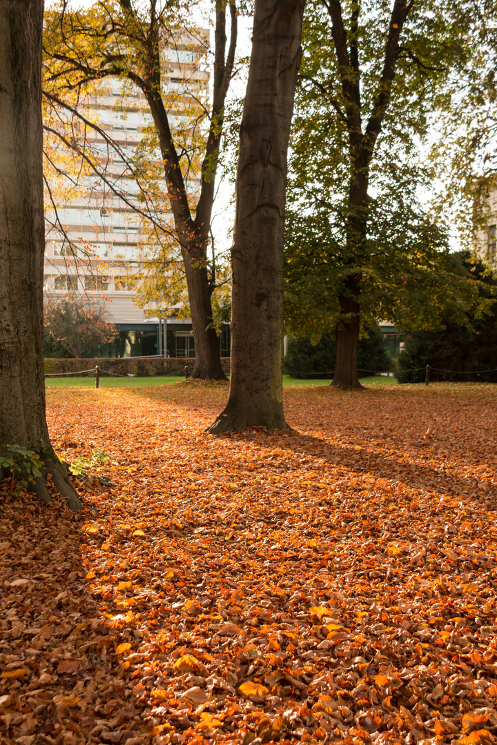 Herbstpark