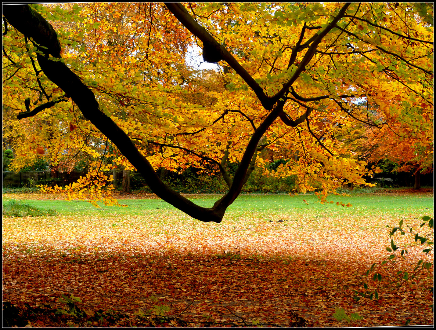 Herbstpark