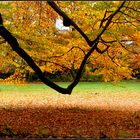 Herbstpark