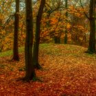 Herbstpark