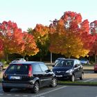 Herbstparkplatz