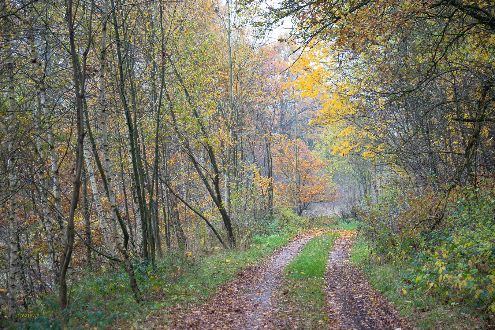 Herbstpastell