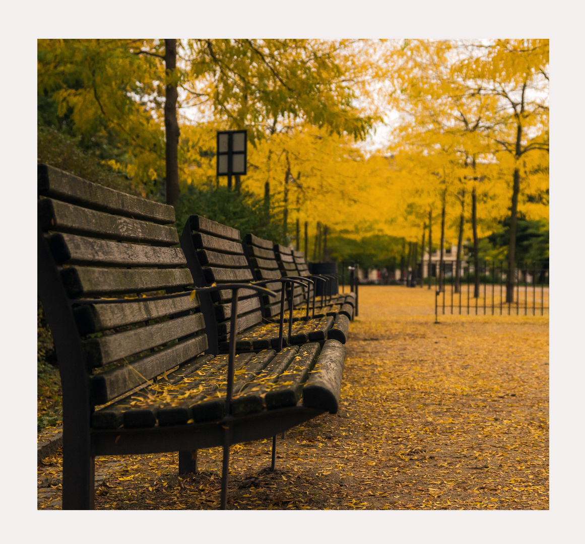 HerbstPause in Görlitz