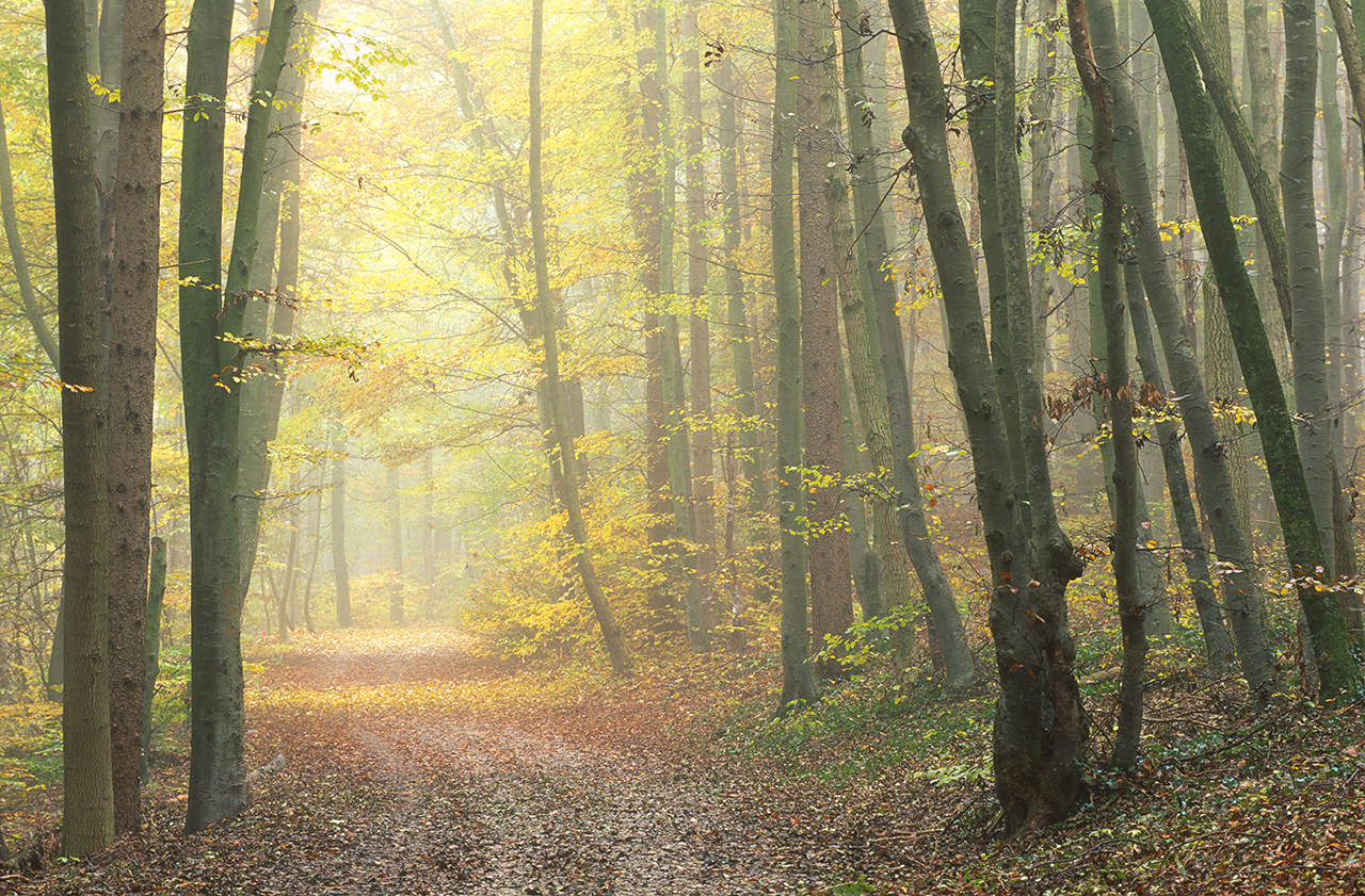 Herbstpaziergang