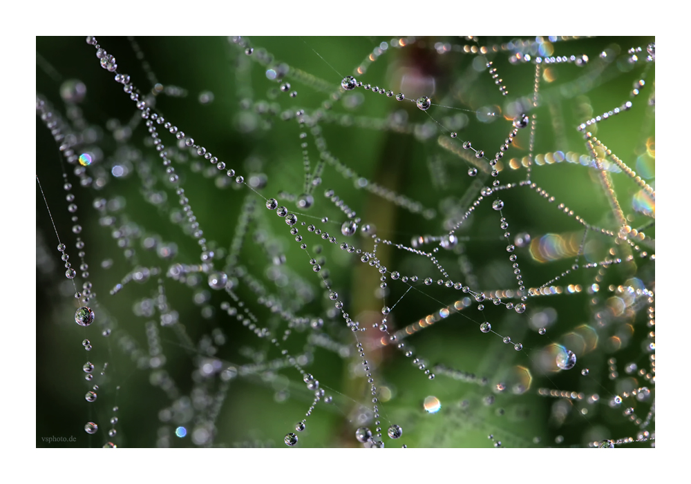 Herbstperlen