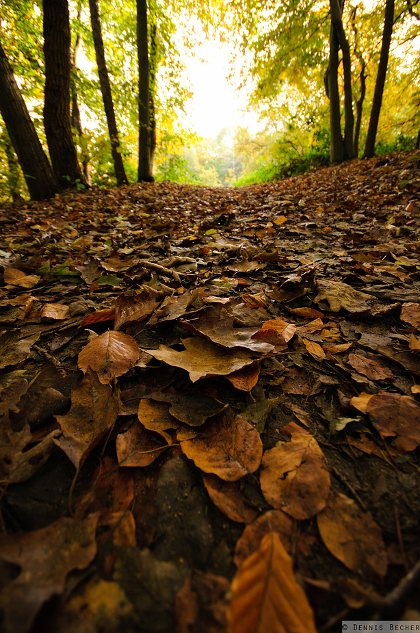 Herbstpfad