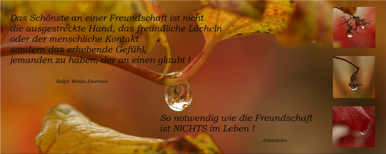 Herbstphilosophie