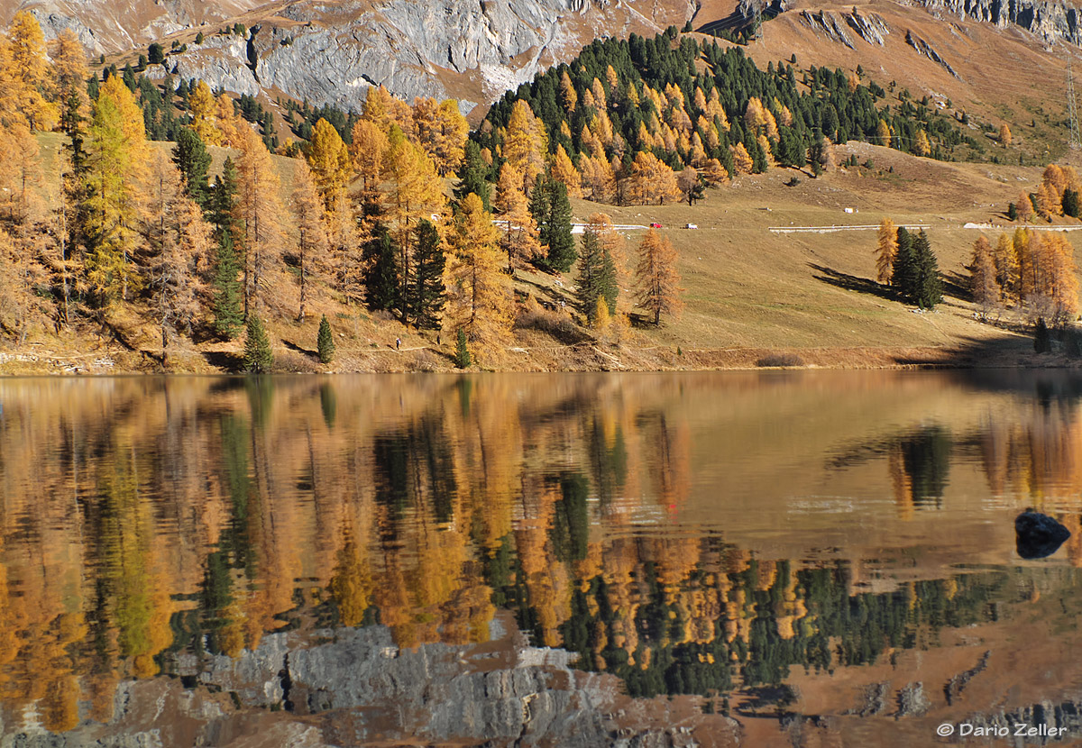 Herbstpiegel