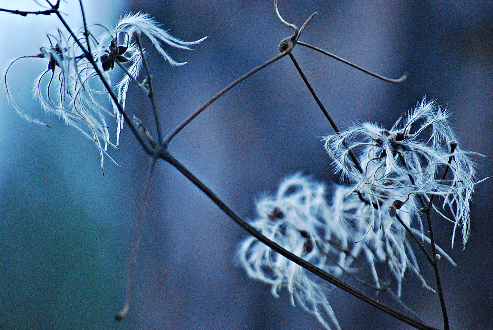 Herbstpoesie...