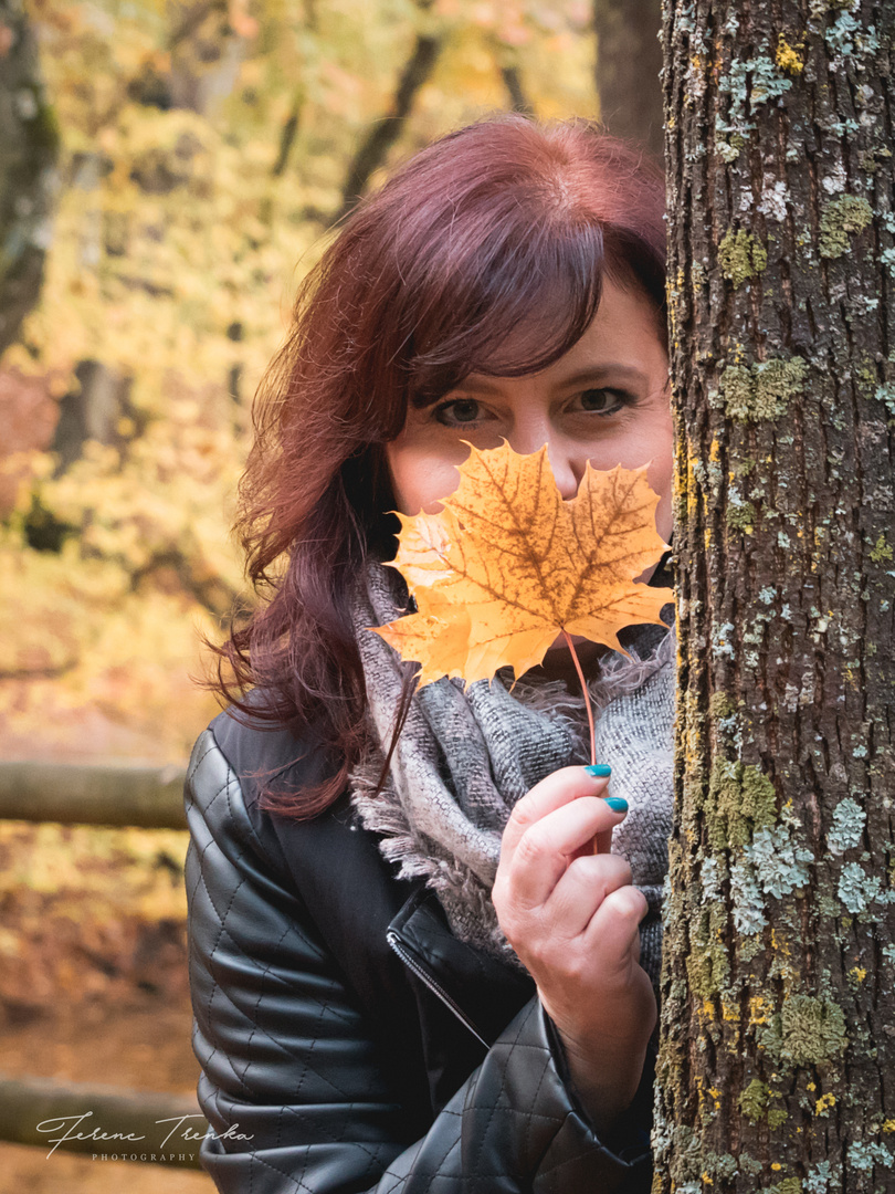 Herbstportrait