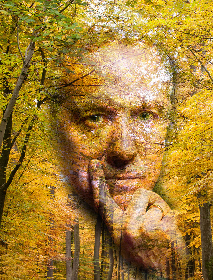 Herbstportrait