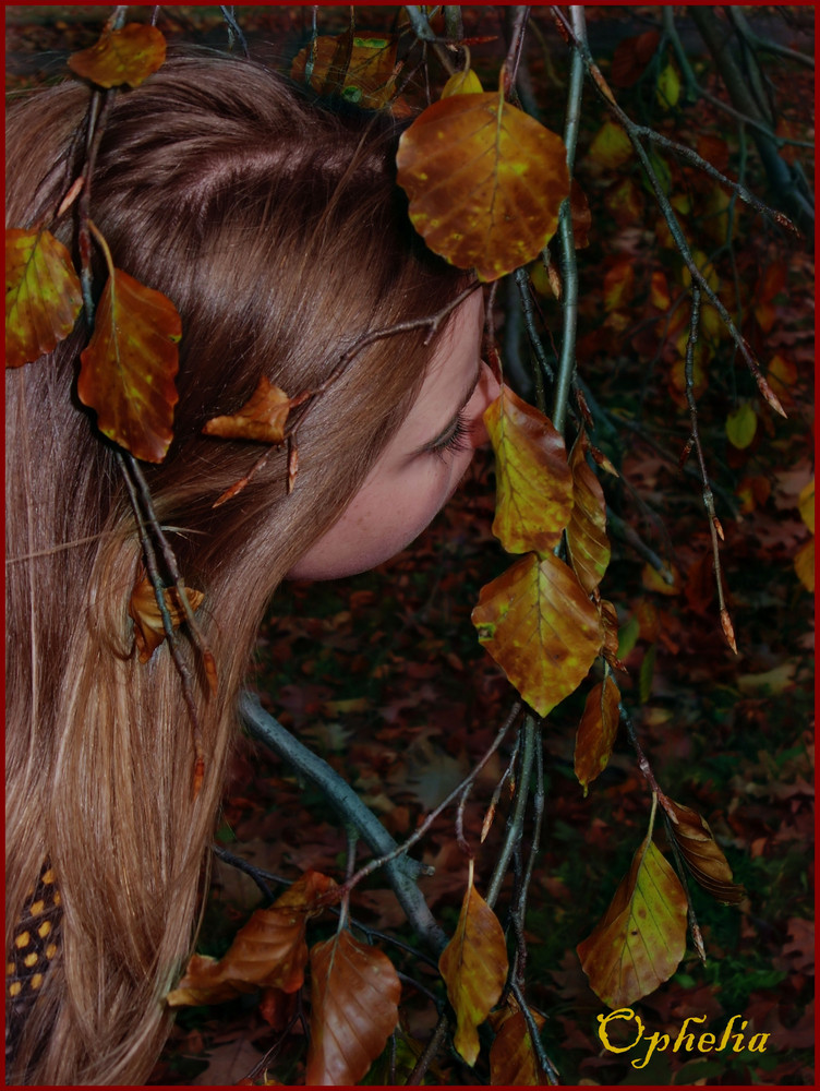 Herbstportrait2