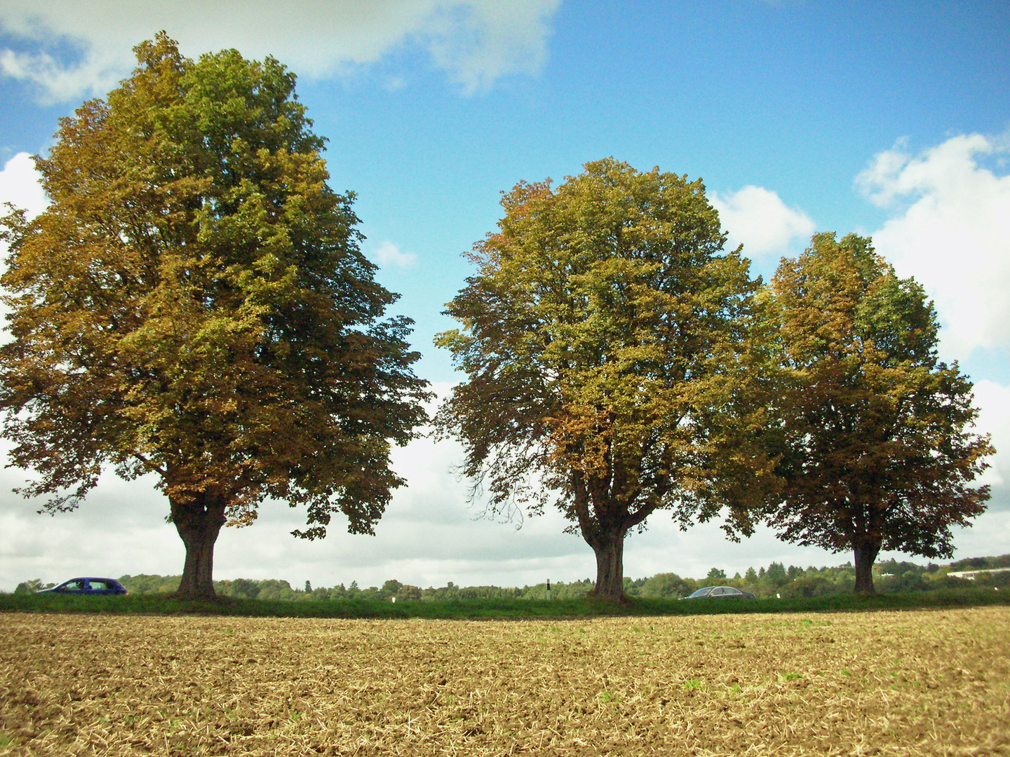 Herbstposing