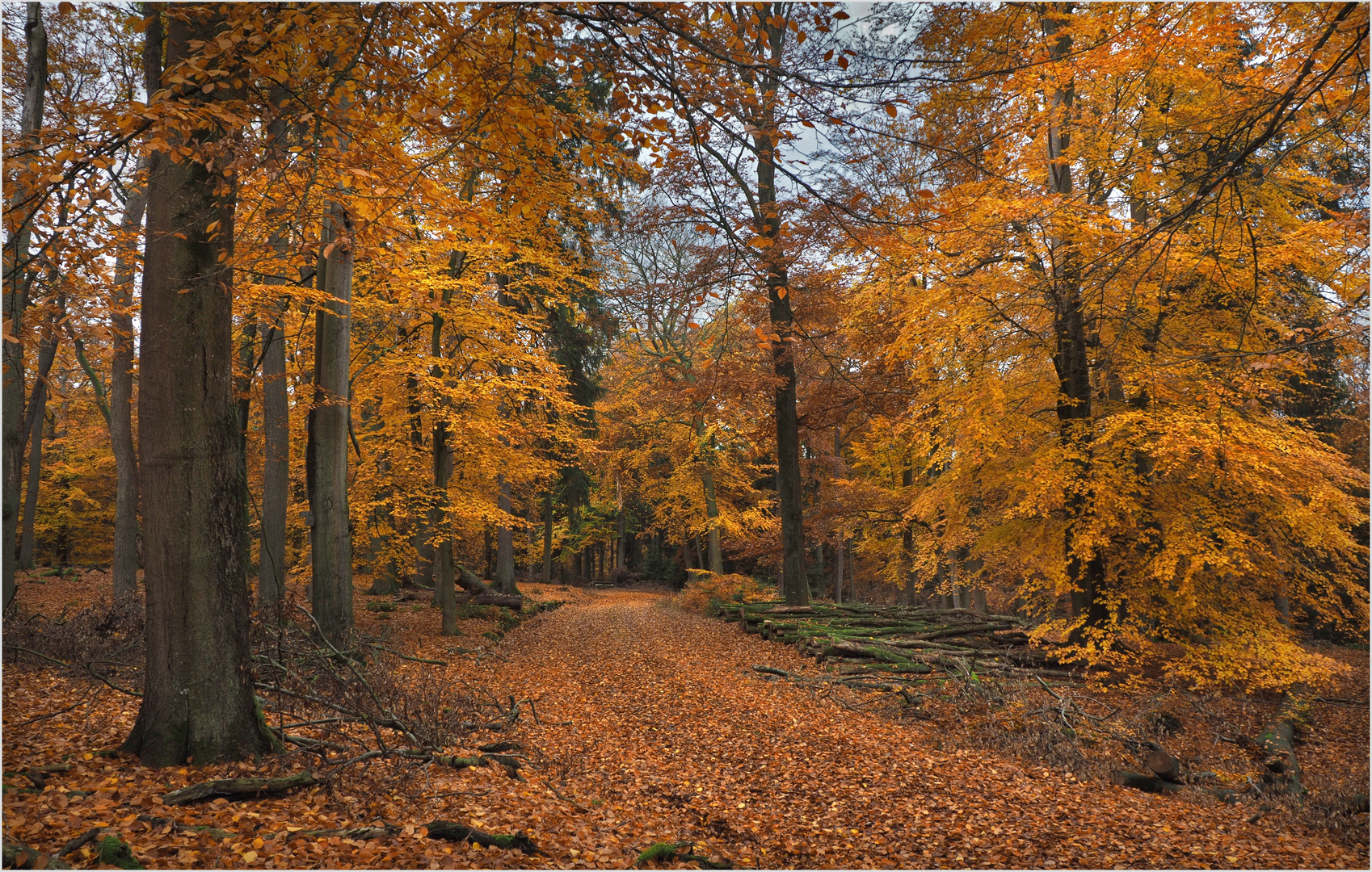 Herbstpracht......