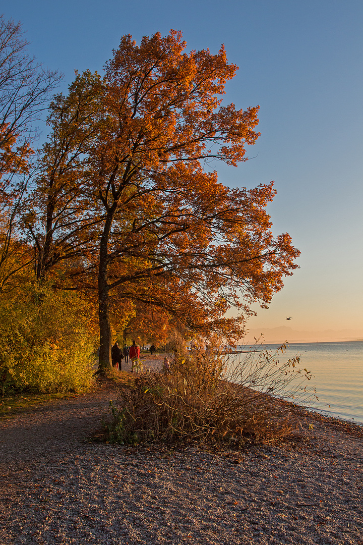 Herbstpracht