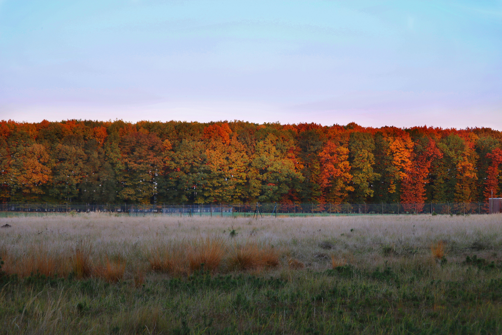 Herbstpracht