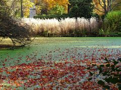 Herbstpracht