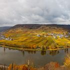 Herbstpracht an der Mosel