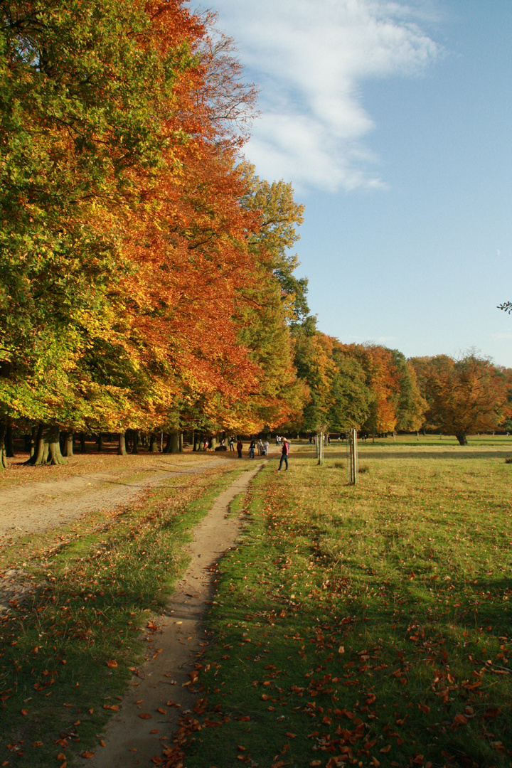 Herbstpracht