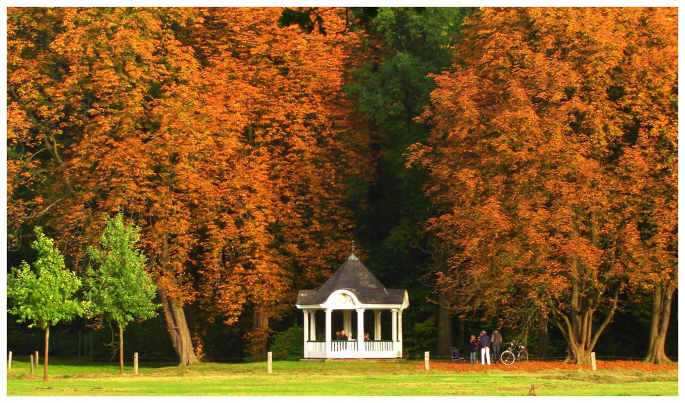 *Herbstpracht*