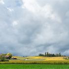 Herbstpracht in den Genfer Weinbergen