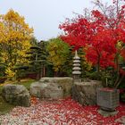 Herbstpracht (Planten um Blomen, Hamburg)