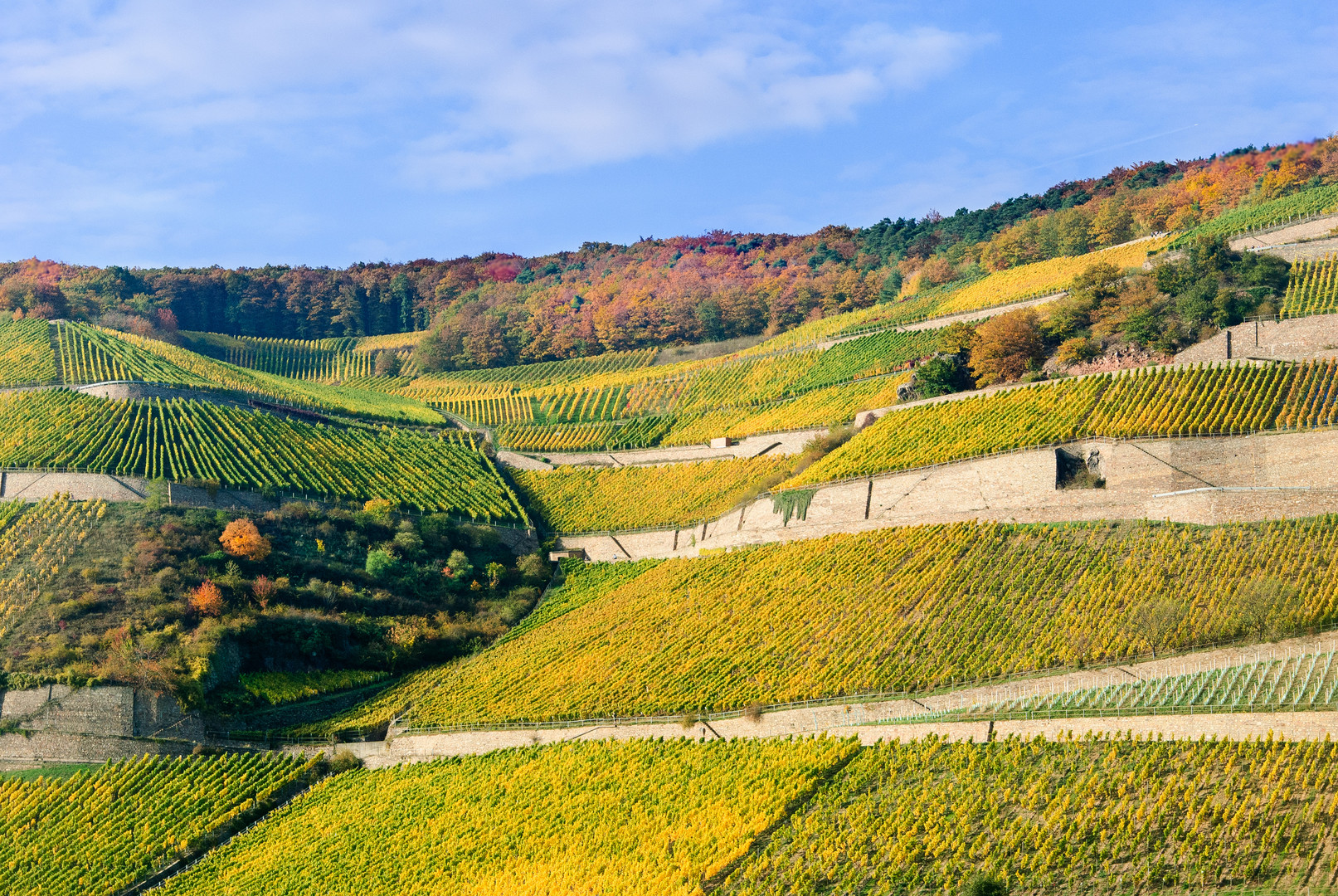 Herbstpracht Teil 1