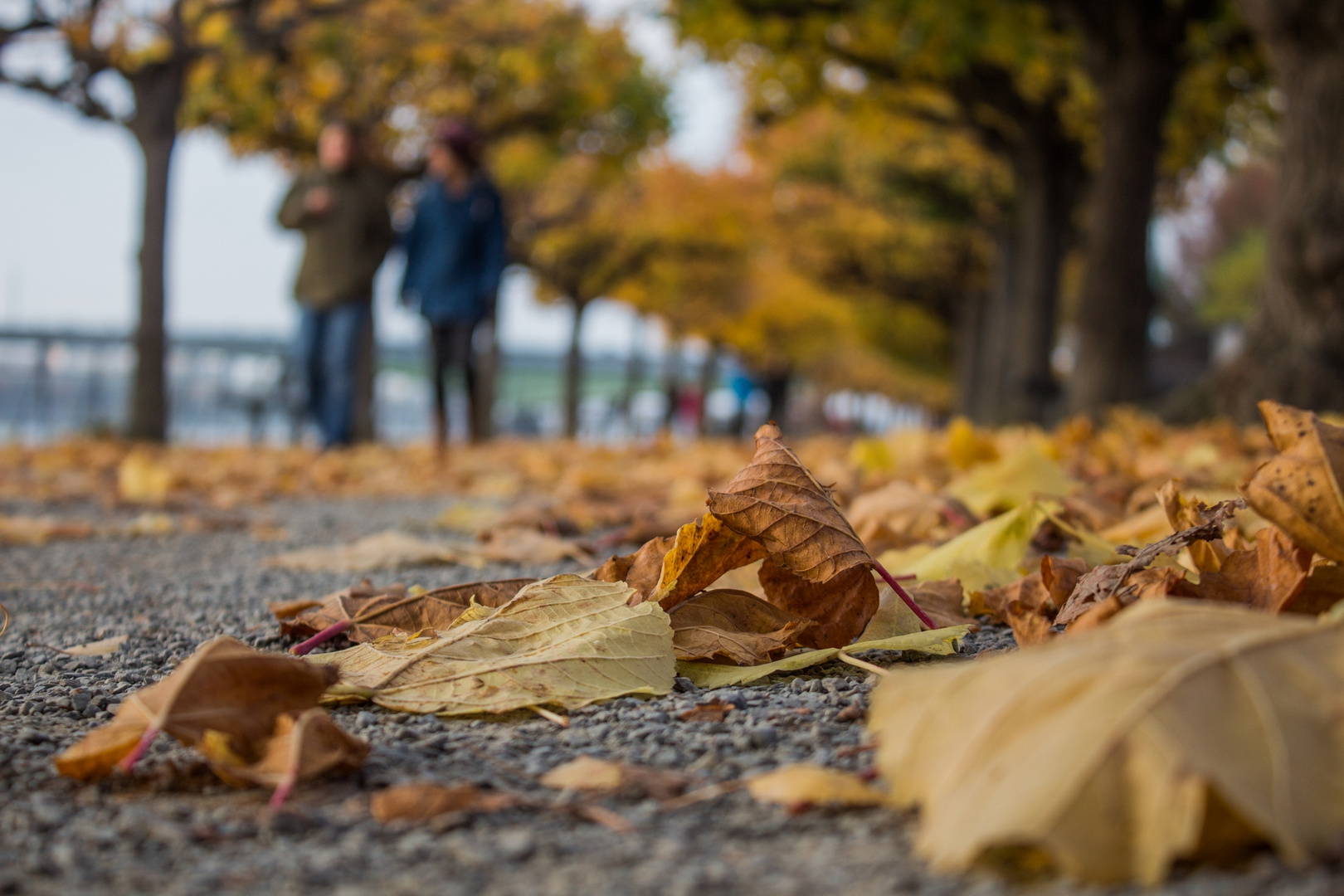 Herbstpromenade